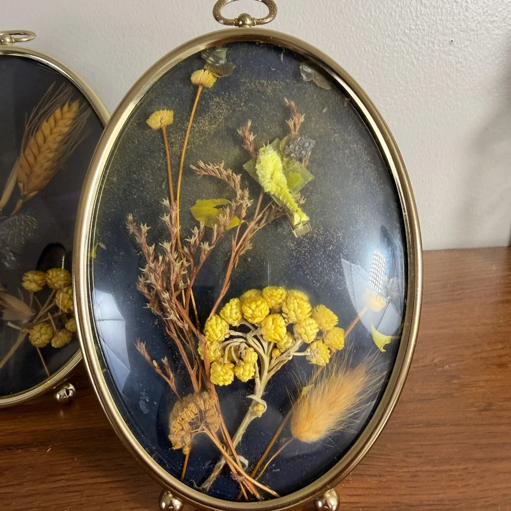 Vintage Oval Brass Shadow Box Set of 3 Dried Flowers Butterflies Cottagecore